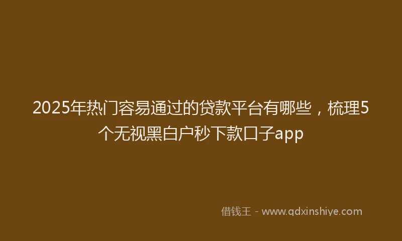 2025年热门容易通过的贷款平台有哪些，梳理5个无视黑白户秒下款口子app