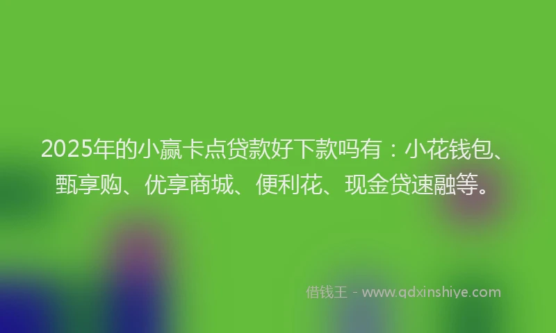 2025年的小赢卡点贷款好下款吗有：小花钱包、甄享购、优享商城、便利花、现金贷速融等。