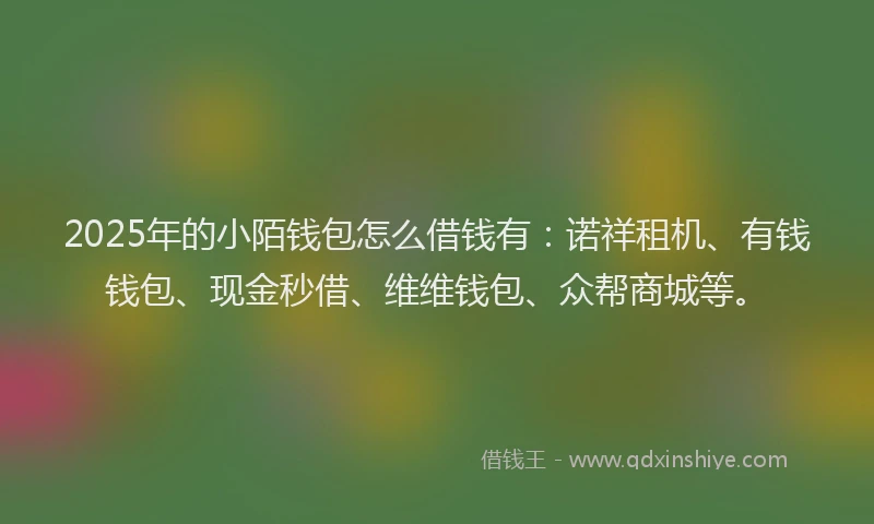 2025年的小陌钱包怎么借钱有：诺祥租机、有钱钱包、现金秒借、维维钱包、众帮商城等。