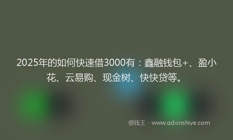 2025年的如何快速借3000有：鑫融钱包+、盈小花、云易购、现金树、快快贷等。