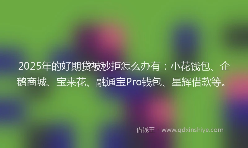 2025年的好期贷被秒拒怎么办有：小花钱包、企鹅商城、宝来花、融通宝Pro钱包、星辉借款等。