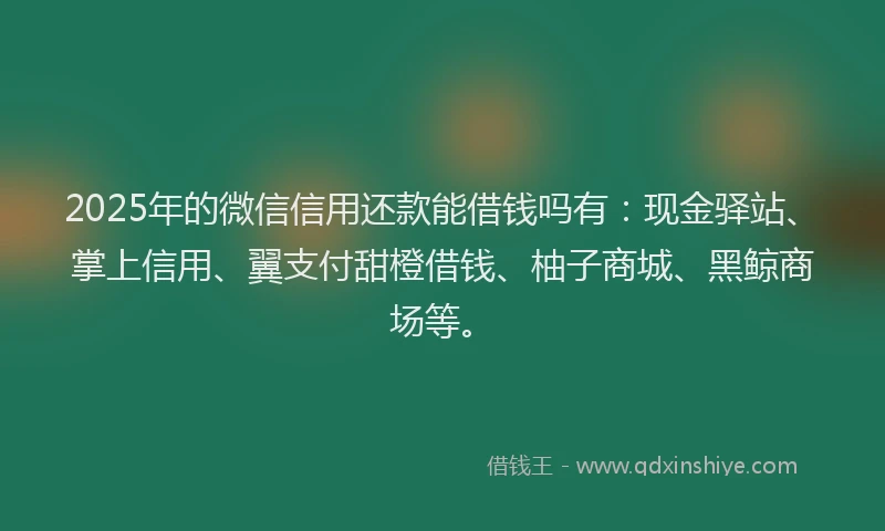 2025年的微信信用还款能借钱吗有：现金驿站、掌上信用、翼支付甜橙借钱、柚子商城、黑鲸商场等。