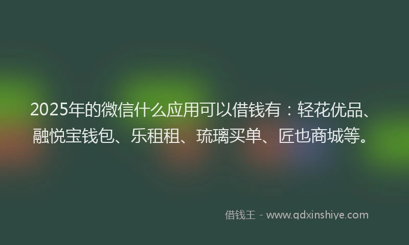 2025年的微信什么应用可以借钱有：轻花优品、融悦宝钱包、乐租租、琉璃买单、匠也商城等。