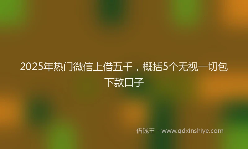 2025年热门微信上借五千，概括5个无视一切包下款口子