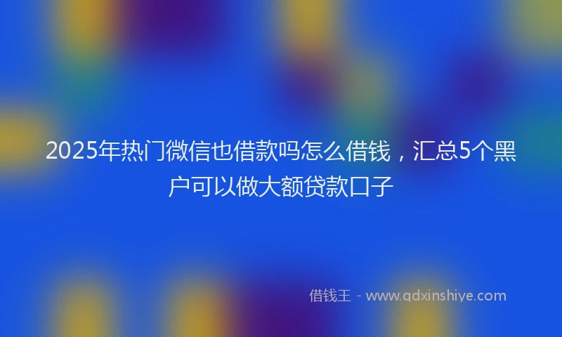 2025年热门微信也借款吗怎么借钱，汇总5个黑户可以做大额贷款口子