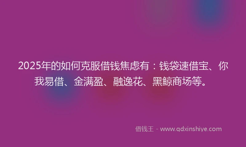 2025年的如何克服借钱焦虑有：钱袋速借宝、你我易借、金满盈、融逸花、黑鲸商场等。