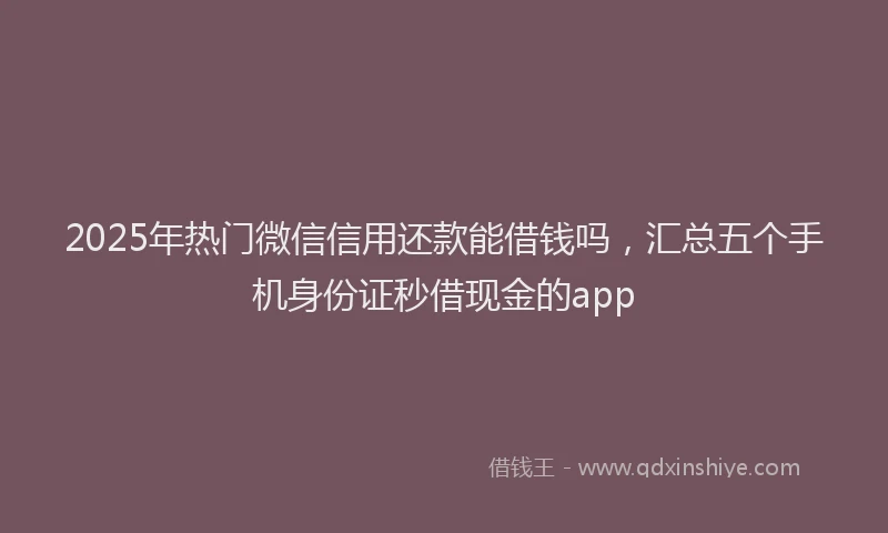 2025年热门微信信用还款能借钱吗，汇总五个手机身份证秒借现金的app