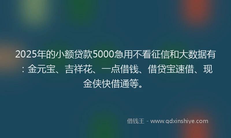 2025年的小额贷款5000急用不看征信和大数据有：金元宝、吉祥花、一点借钱、借贷宝速借、现金侠快借通等。