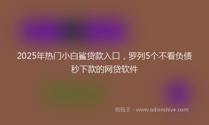 2025年热门小白鲨贷款入口，罗列5个不看负债秒下款的网贷软件