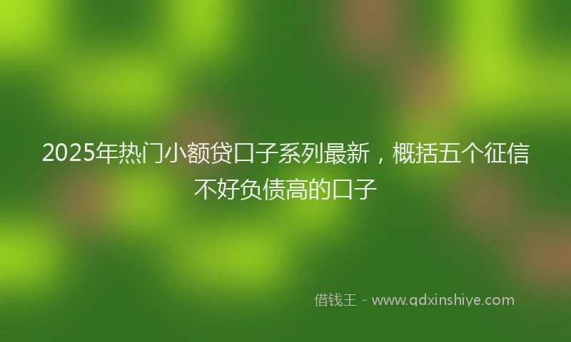 2025年热门小额贷口子系列最新，概括五个征信不好负债高的口子