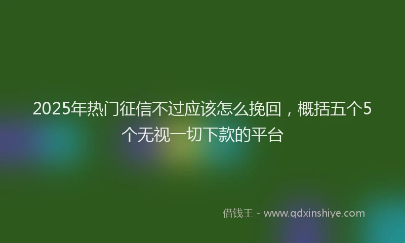 2025年热门征信不过应该怎么挽回，概括五个5个无视一切下款的平台