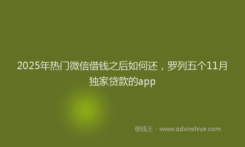 2025年热门微信借钱之后如何还，罗列五个11月独家贷款的app