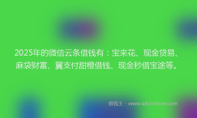 2025年的微信云条借钱有：宝来花、现金贷易、麻袋财富、翼支付甜橙借钱、现金秒借宝途等。