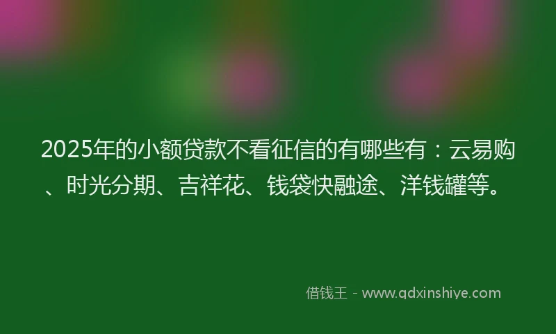 2025年的小额贷款不看征信的有哪些有：云易购、时光分期、吉祥花、钱袋快融途、洋钱罐等。