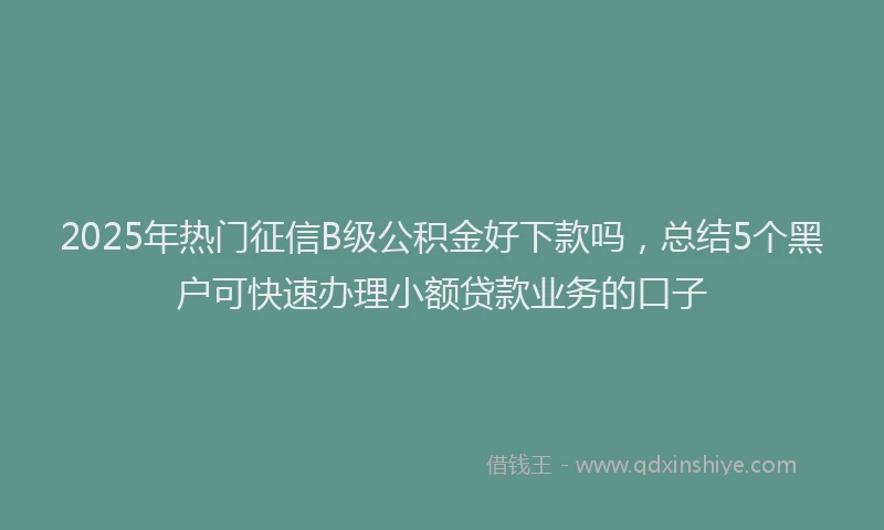 2025年热门征信B级公积金好下款吗，总结5个黑户可快速办理小额贷款业务的口子
