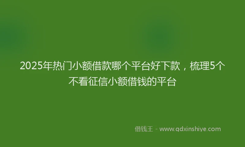 2025年热门小额借款哪个平台好下款，梳理5个不看征信小额借钱的平台
