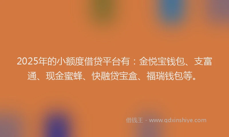 2025年的小额度借贷平台有：金悦宝钱包、支富通、现金蜜蜂、快融贷宝盒、福瑞钱包等。