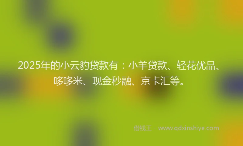 2025年的小云豹贷款有：小羊贷款、轻花优品、哆哆米、现金秒融、京卡汇等。