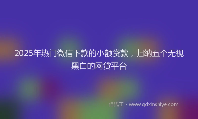 2025年热门微信下款的小额贷款，归纳五个无视黑白的网贷平台