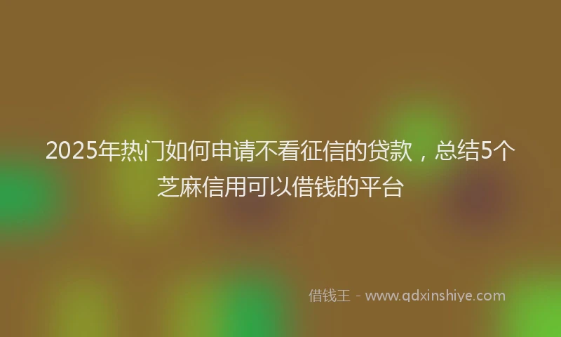 2025年热门如何申请不看征信的贷款，总结5个芝麻信用可以借钱的平台