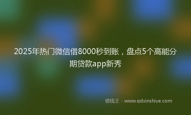 2025年热门微信借8000秒到账，盘点5个高能分期贷款app新秀