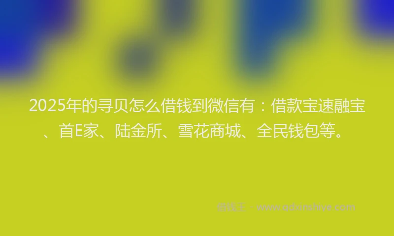 2025年的寻贝怎么借钱到微信有：借款宝速融宝、首E家、陆金所、雪花商城、全民钱包等。