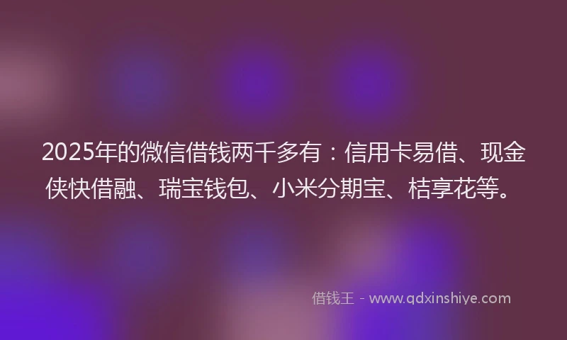 2025年的微信借钱两千多有：信用卡易借、现金侠快借融、瑞宝钱包、小米分期宝、桔享花等。