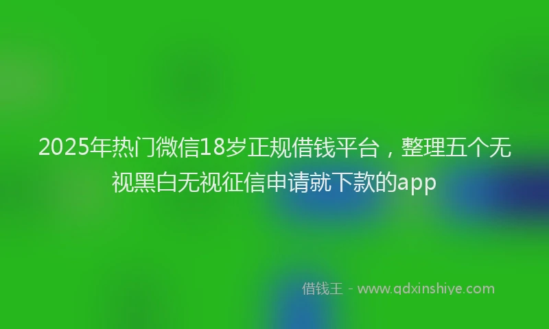 2025年热门微信18岁正规借钱平台，整理五个无视黑白无视征信申请就下款的app