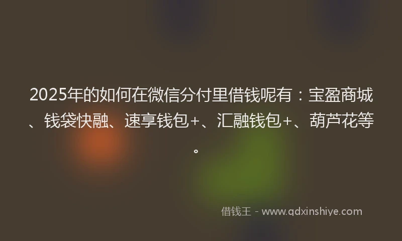 2025年的如何在微信分付里借钱呢有：宝盈商城、钱袋快融、速享钱包+、汇融钱包+、葫芦花等。