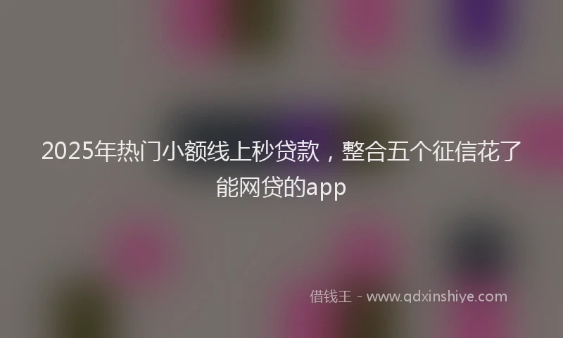2025年热门小额线上秒贷款，整合五个征信花了能网贷的app