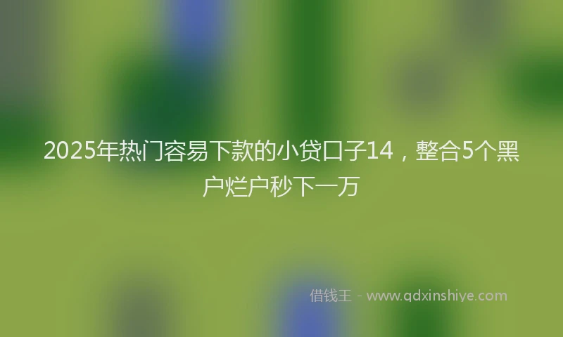 2025年热门容易下款的小贷口子14，整合5个黑户烂户秒下一万