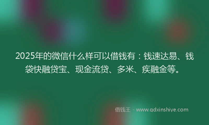2025年的微信什么样可以借钱有：钱速达易、钱袋快融贷宝、现金流贷、多米、疾融金等。