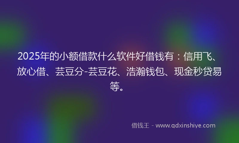 2025年的小额借款什么软件好借钱有：信用飞、放心借、芸豆分-芸豆花、浩瀚钱包、现金秒贷易等。