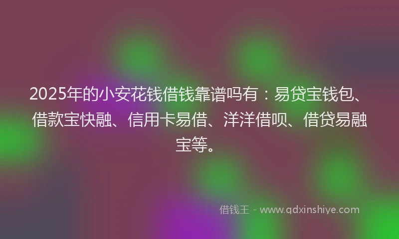2025年的小安花钱借钱靠谱吗有：易贷宝钱包、借款宝快融、信用卡易借、洋洋借呗、借贷易融宝等。