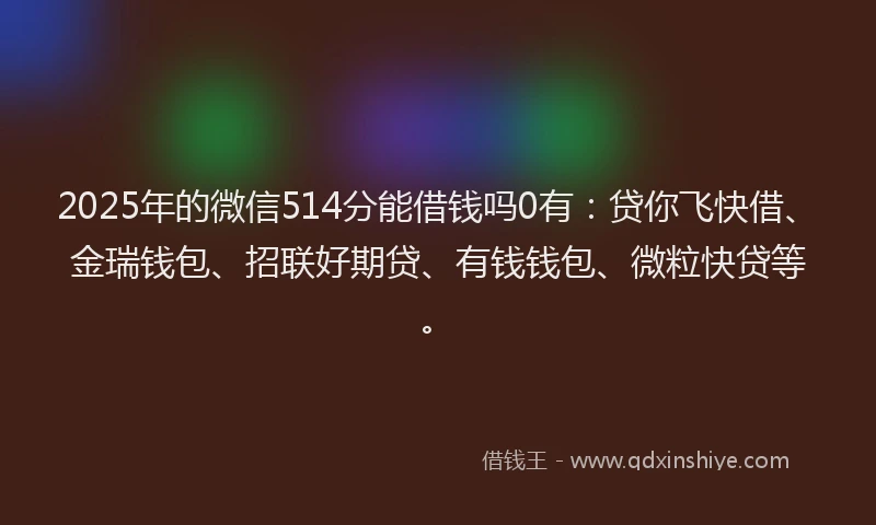 2025年的微信514分能借钱吗0有：贷你飞快借、金瑞钱包、招联好期贷、有钱钱包、微粒快贷等。