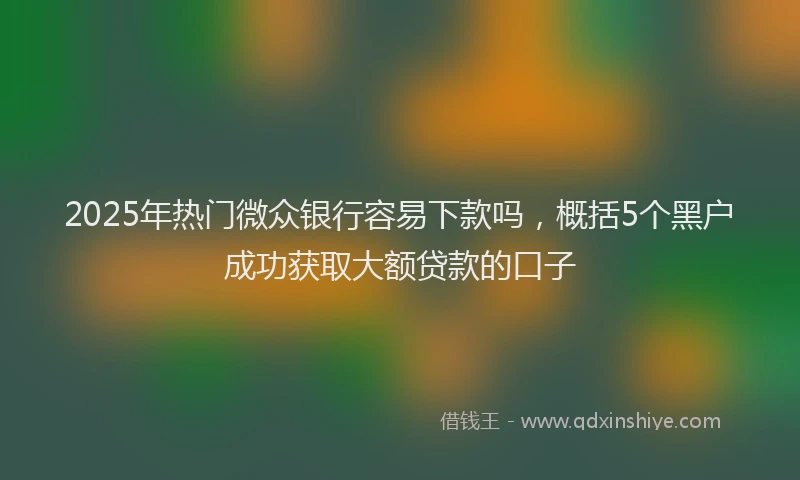 2025年热门微众银行容易下款吗，概括5个黑户成功获取大额贷款的口子