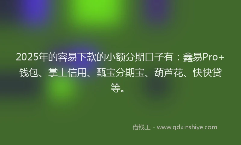2025年的容易下款的小额分期口子有：鑫易Pro+钱包、掌上信用、甄宝分期宝、葫芦花、快快贷等。