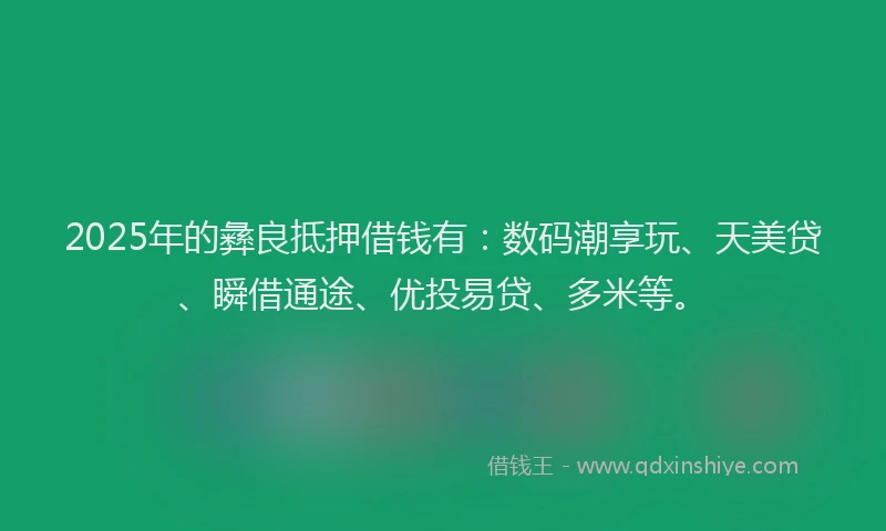 2025年的彝良抵押借钱有：数码潮享玩、天美贷、瞬借通途、优投易贷、多米等。