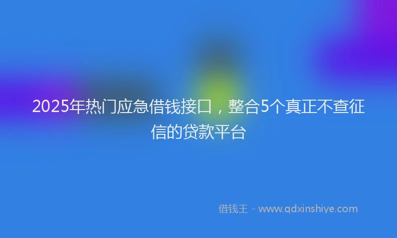 2025年热门应急借钱接口，整合5个真正不查征信的贷款平台