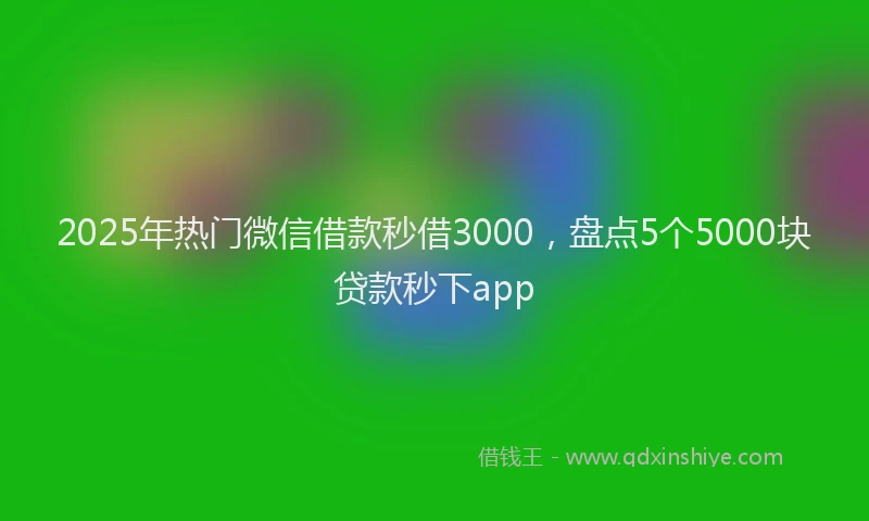 2025年热门微信借款秒借3000，盘点5个5000块贷款秒下app