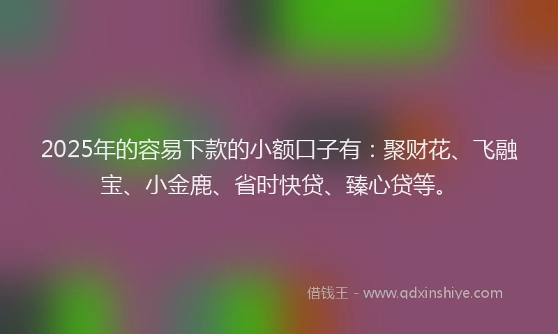 2025年的容易下款的小额口子有：聚财花、飞融宝、小金鹿、省时快贷、臻心贷等。