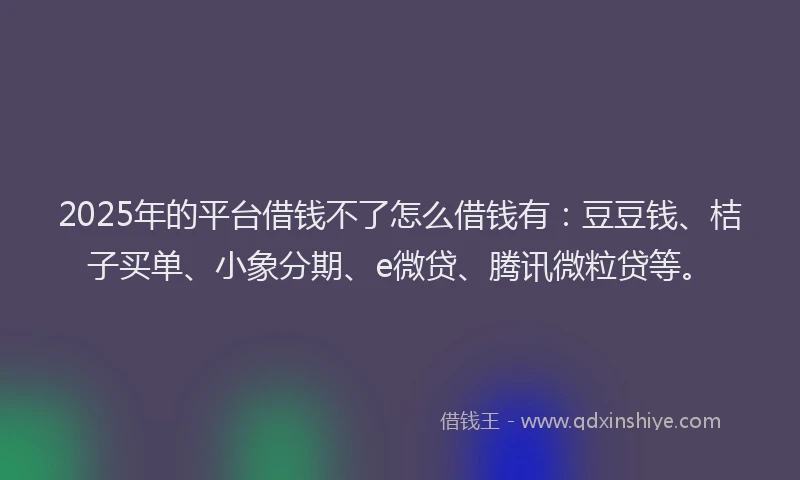 2025年的平台借钱不了怎么借钱有：豆豆钱、桔子买单、小象分期、e微贷、腾讯微粒贷等。