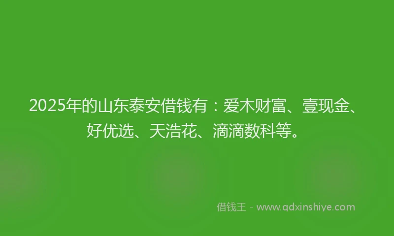 2025年的山东泰安借钱有：爱木财富、壹现金、好优选、天浩花、滴滴数科等。