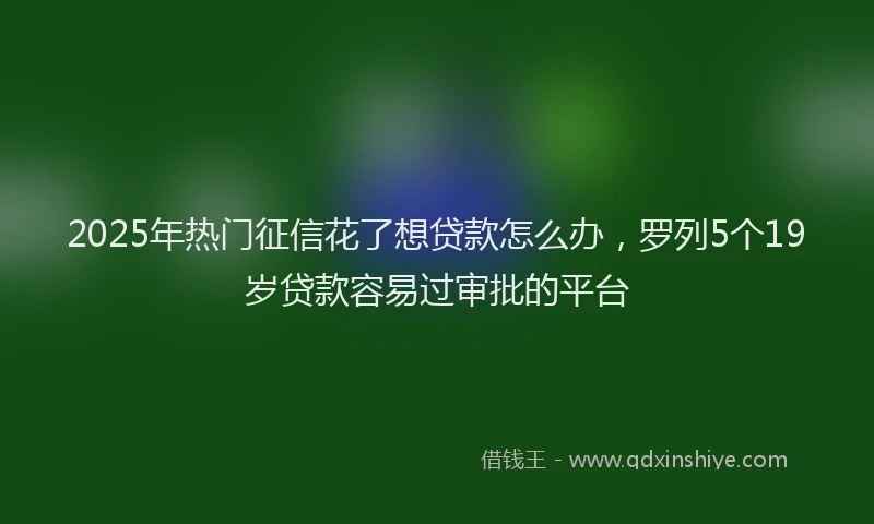 2025年热门征信花了想贷款怎么办，罗列5个19岁贷款容易过审批的平台