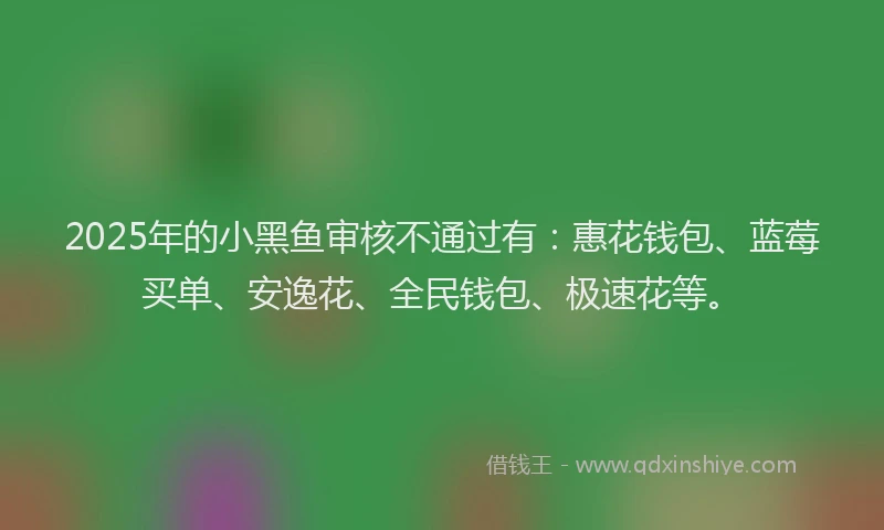 2025年的小黑鱼审核不通过有：惠花钱包、蓝莓买单、安逸花、全民钱包、极速花等。