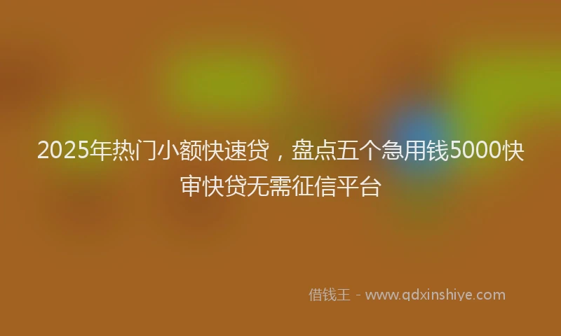 2025年热门小额快速贷，盘点五个急用钱5000快审快贷无需征信平台