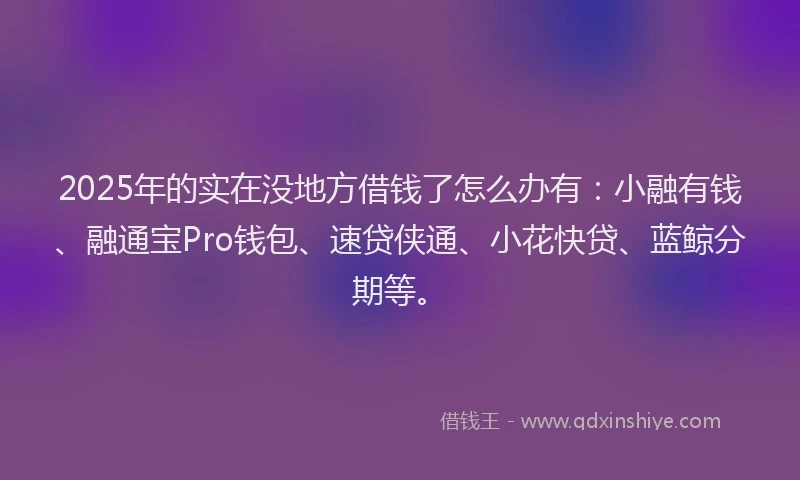 2025年的实在没地方借钱了怎么办有：小融有钱、融通宝Pro钱包、速贷侠通、小花快贷、蓝鲸分期等。
