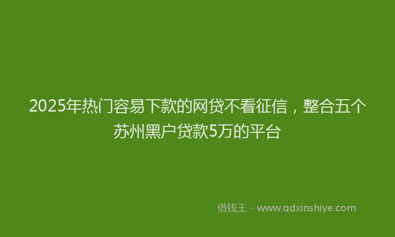 2025年热门容易下款的网贷不看征信，整合五个苏州黑户贷款5万的平台