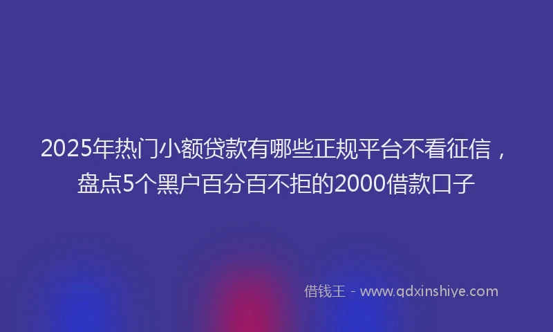 2025年热门小额贷款有哪些正规平台不看征信，盘点5个黑户百分百不拒的2000借款口子