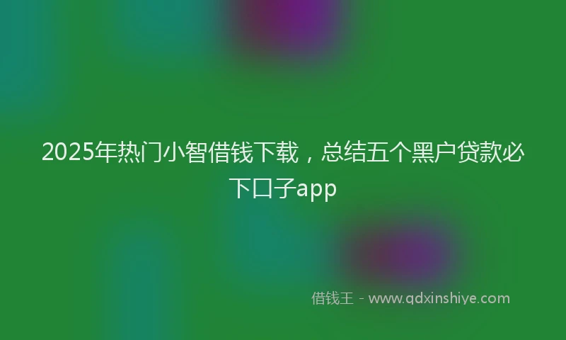 2025年热门小智借钱下载，总结五个黑户贷款必下口子app